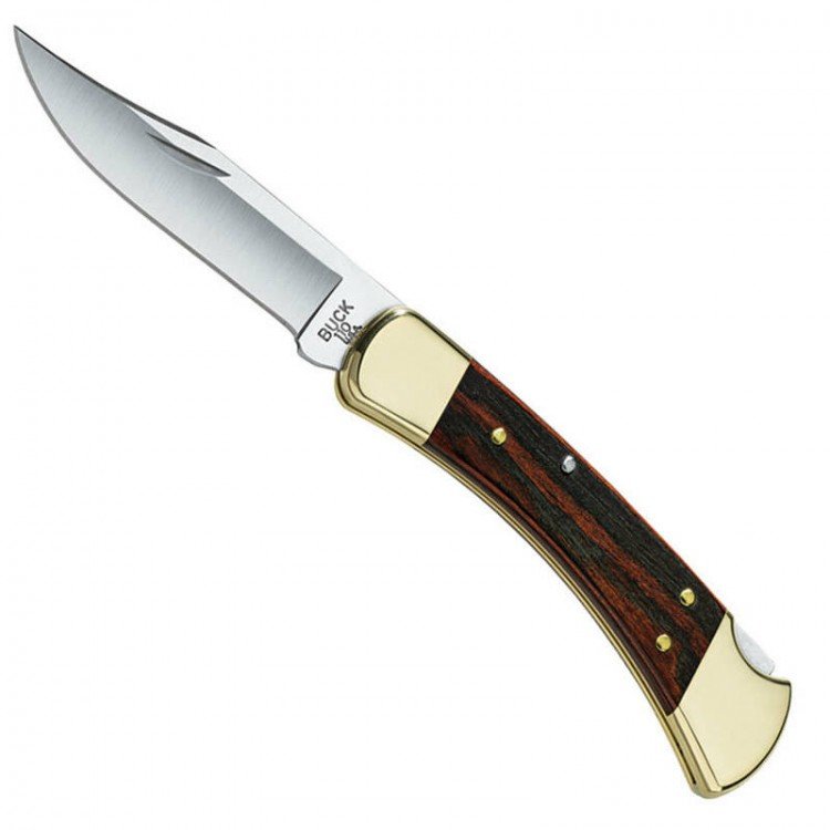 Buck 110 Hunter Folding Knife