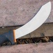 Outdoor Outfitters Skinning Knife