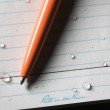 Rite in the Rain Clicker Pen - Orange