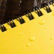 Rite in the Rain Top Spiral Waterproof Notebook - Yellow - 4x6